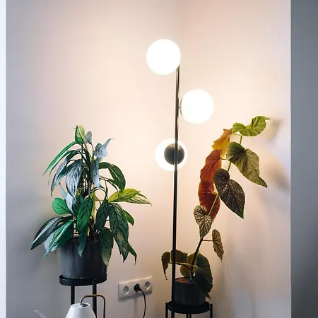 דירה Schilcherlandleben - Langegg Greisdorf