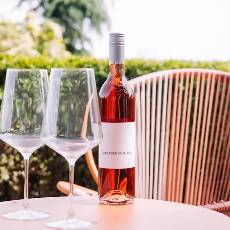 דירה Schilcherlandleben - Langegg *