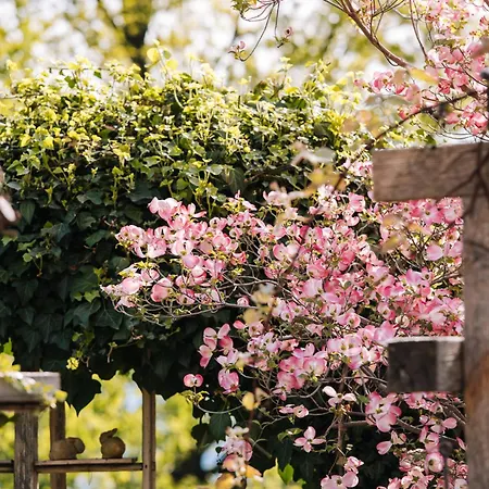 Schilcherlandleben - Langegg