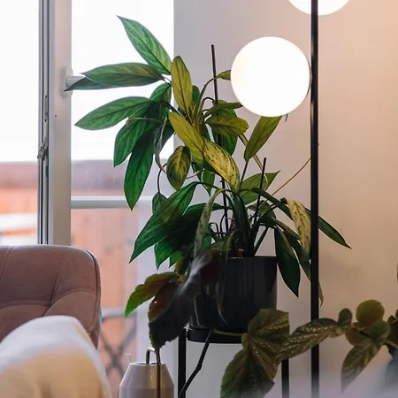 Schilcherlandleben - Langegg דירה