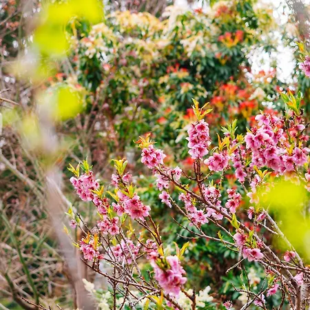 Schilcherlandleben - Langegg Lejlighed