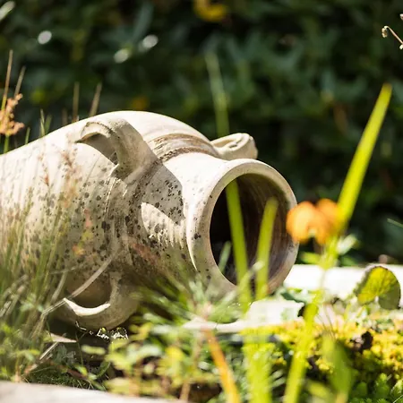 Schilcherlandleben - Langegg Greisdorf