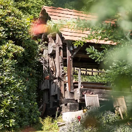 Schilcherlandleben - Langegg