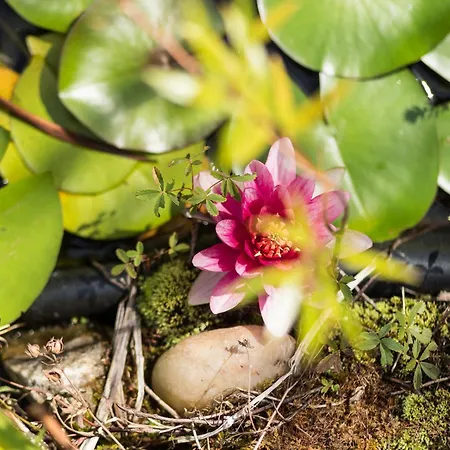 דירה Schilcherlandleben - Langegg *