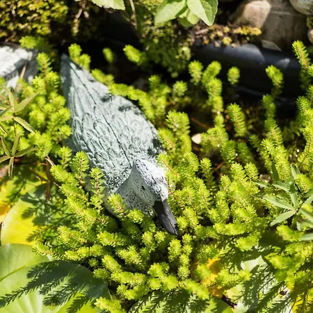 Schilcherlandleben - Langegg * Greisdorf