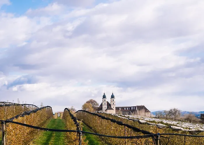 Schilcherlandleben - Langegg