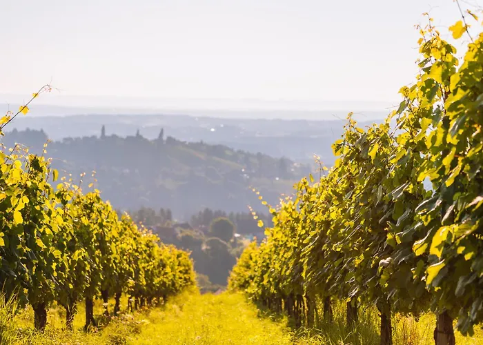 Schilcherlandleben - Langegg Greisdorf