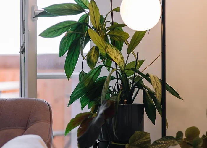 Schilcherlandleben - Langegg Apartment