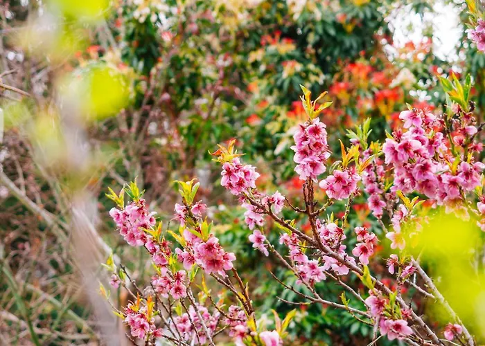 Schilcherlandleben - Langegg 아파트
