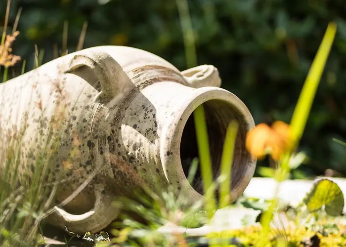 Schilcherlandleben - Langegg Greisdorf