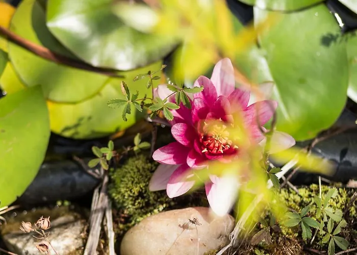 Apartment Schilcherlandleben - Langegg *