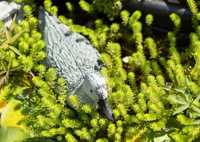 Schilcherlandleben - Langegg * Greisdorf